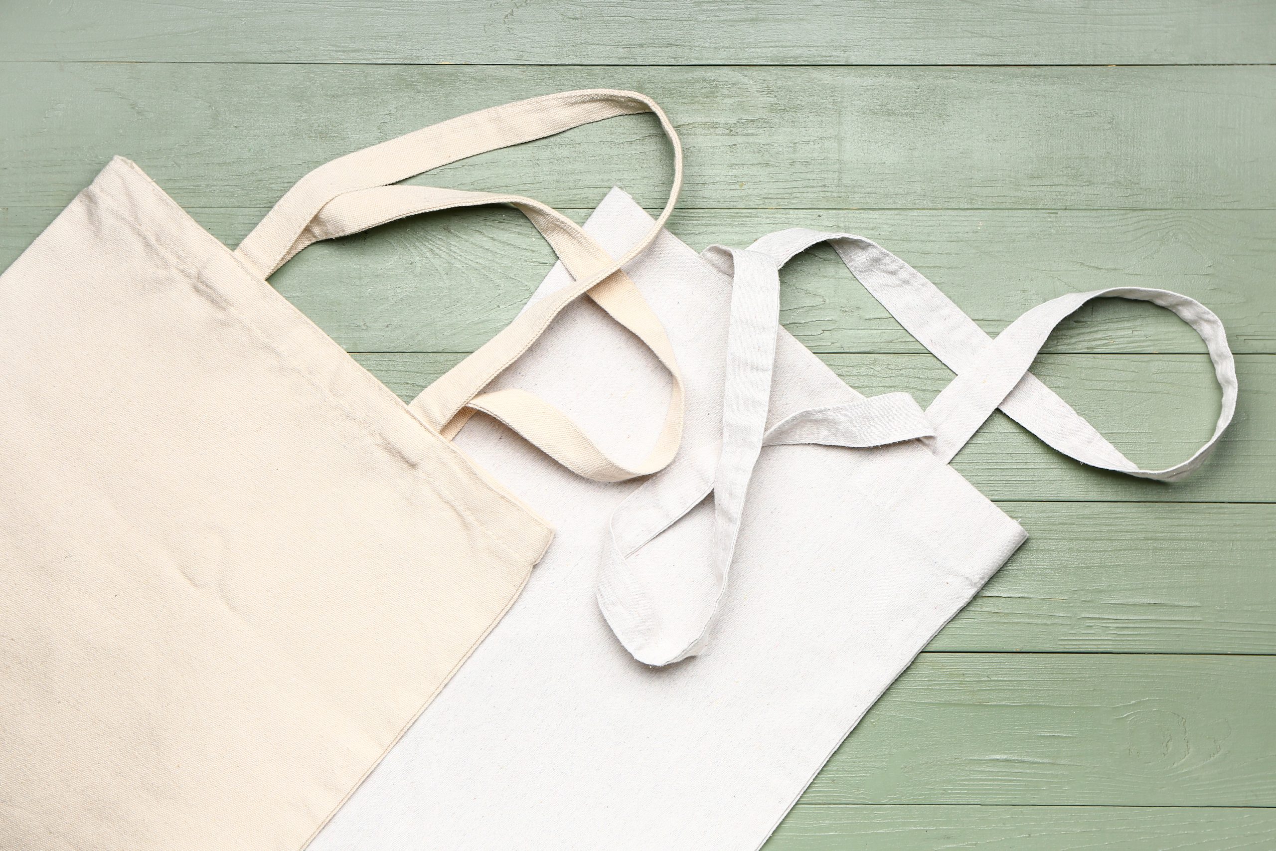 Depositphotos 388829932 XL