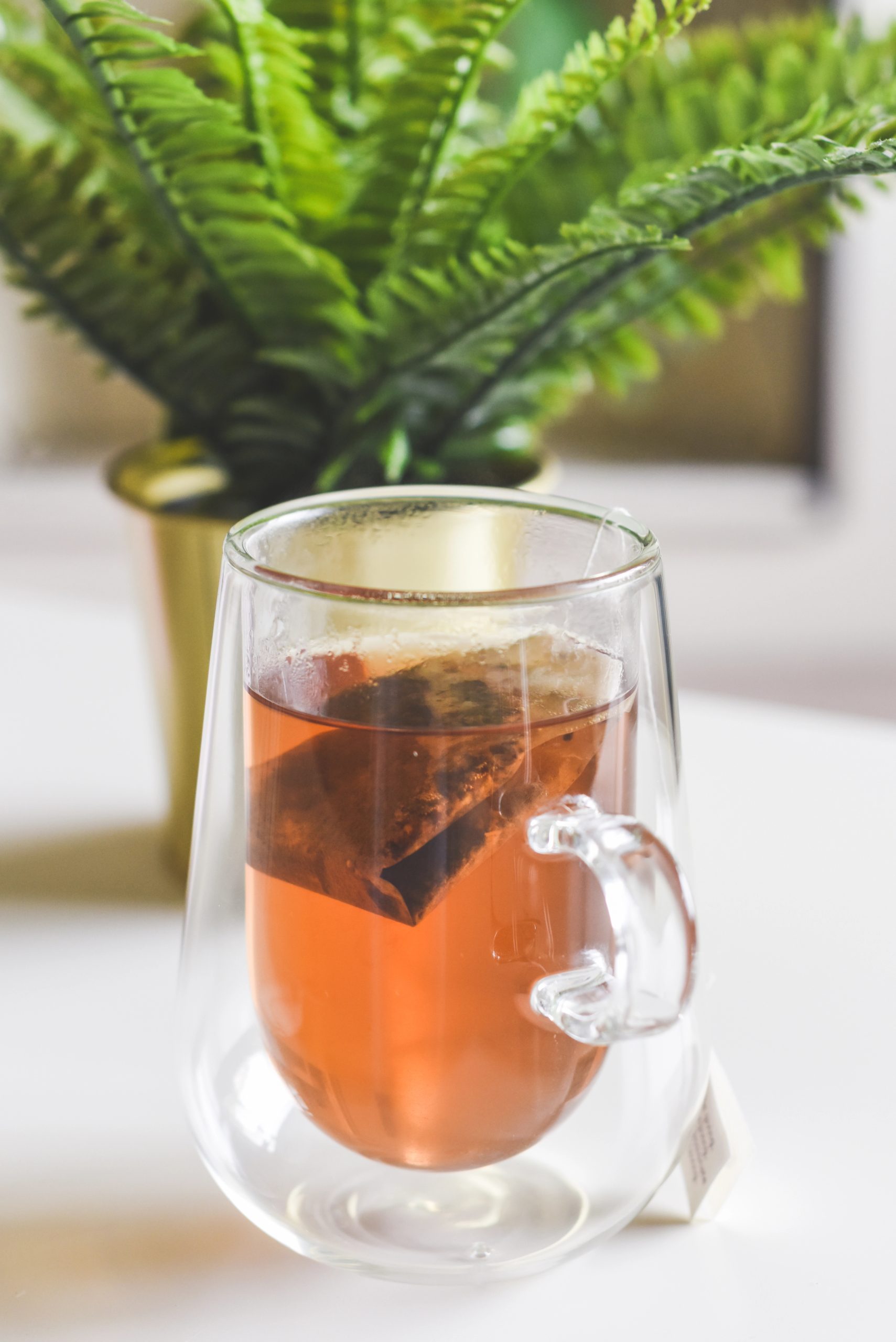 Depositphotos 407098268 XL